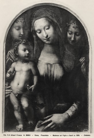 Alinari, Fratelli — Siena, Pinacoteca - Madonna col Figlio e Santi (n. 326) - (Sodoma) — insieme
